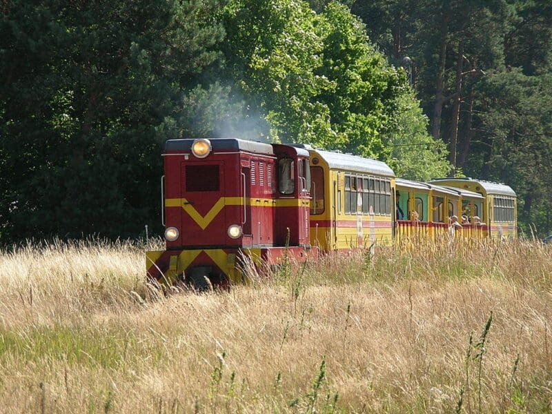 Wakacje 2018 na wąskich torach
